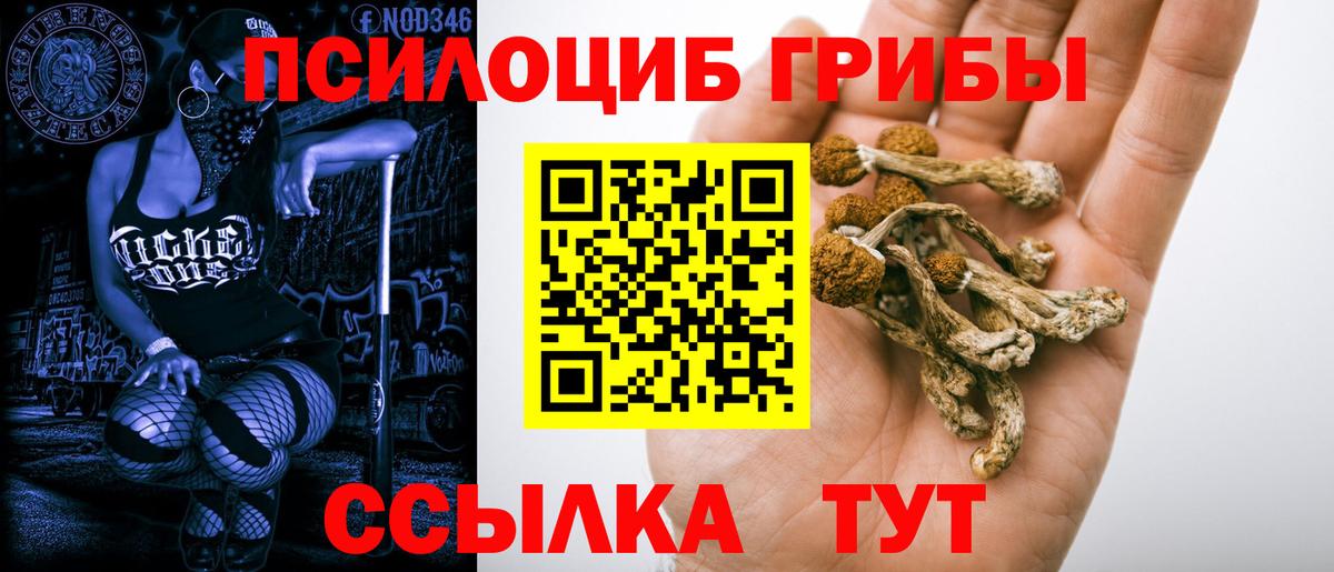 Галлюциногенные грибы Psilocybe  Вход с VPN  Волжский 